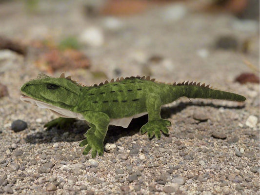 Sound Reptile - Hand Puppet - Tuatara