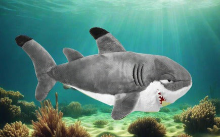 Plush Toy - Shark