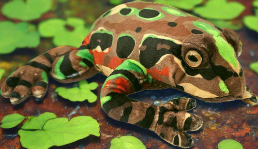 This beautiful plush soft toy is part of a collection by Antics Featuring native birds, reptiles and marine mammals of NZ. It is filled with 100% recycled fibre fill un an ICTI (ethical toy program) audited factory.  The Archey's frog is one of three remaining species of native frog in NZ. It is the smallest one, growing to only 4cm long. They are found in damp forest habitats 400m above sea level, although some have been found as low as 100-200 m above sea level in the Coromandel. 