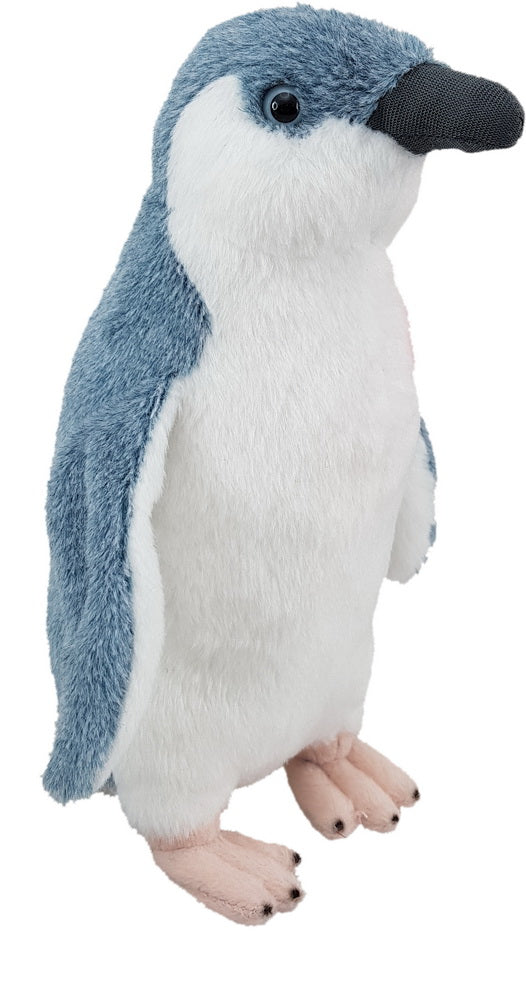 Sound Bird - Korora - Little Blue Penguin
