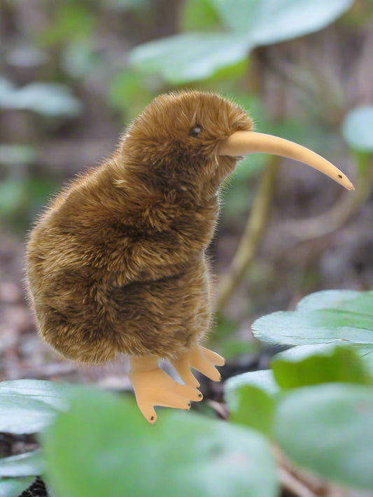 Sound Bird - X Large - Brown Kiwi