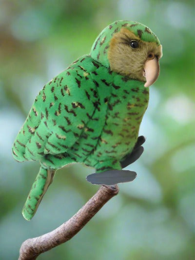 This plush puppet is part of a collection designed & distributed by Antics of NZ. Featuring Native Birds, Reptiles & Marine Mammals of New Zealand with their authentic recorded sound to hear at the push of a button! Age 3+