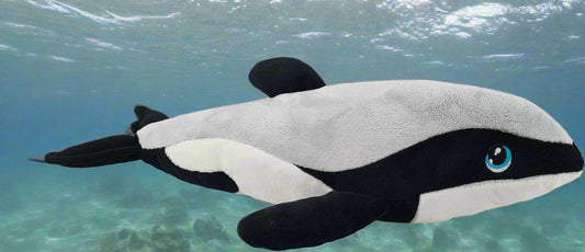 From the Soft Touch Series by Keel Toys this adorable Eco Plush dolphin is ideal for tiny hands and lots of cuddles. With embroidered eyes it is suitable for 0+
The Hector's Dolphin is the world's smallest dolphin and is found in the waters of NZ, mainly on the West Coast of the South Island (Te Waipounamu). Found in small groups of 2-12 they are usually close to the shore. They are very curious and are strongly attracted to boats and surfing in the wake.