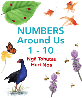 Numbers Around Us - Ngā Tohutau Huri Noa
