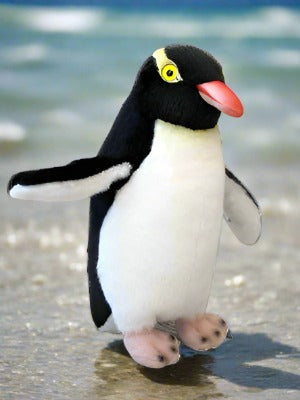  This beautiful 15cm plush toy is part of a collection designed & distributed by Antics of NZ. Featuring Native Birds, Reptiles, Marine Mammals of New Zealand with their authentic recorded sound to hear at the push of a button! Age 3+   Native to NZ the Hoiho can be found on the southeast coast of the South Island as well as Stewart, Auckland & Campbell Islands. 