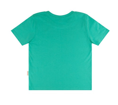 Boys Tee - I'm Fishing for Trouble - Vintage Look Spearmint