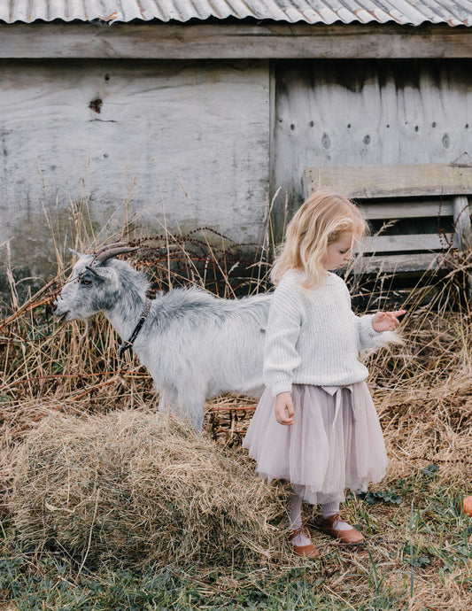 Classic Ballerina Tutu Skirt with Bow - Lilac Powder